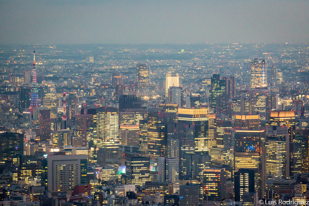 Torre de Tokio y rascacielos al anochecer