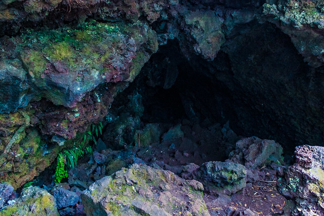 Die Lava-Höhlen des Rangitoto