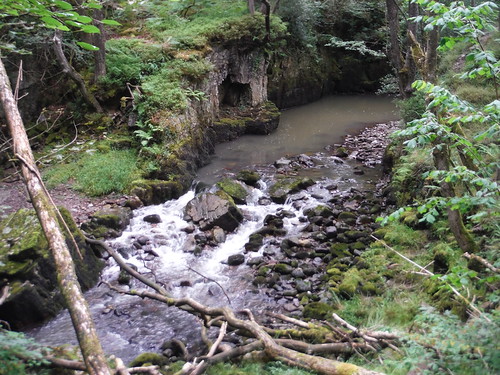 River Nedd Fechan, upstream of Pont Melin-fach: cascade in river bend SWC Walk 400 - Waterfall Country (Pontneddfechan Circular)