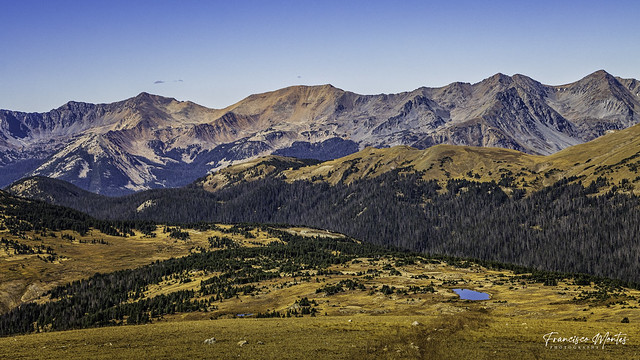 A View from Trail Ridge Road