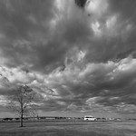 Taking the family off site (282/365) When one thinks of vast
Prairie land comes to my mind
And then in my place