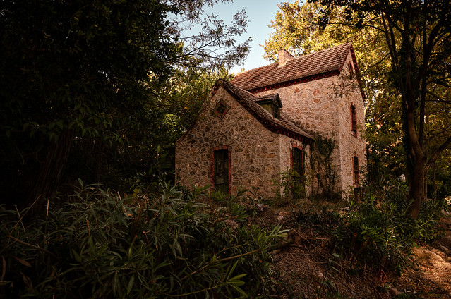 A house lost in the woods