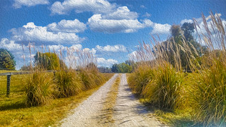 Country Gravel Road - Van Gogh Style