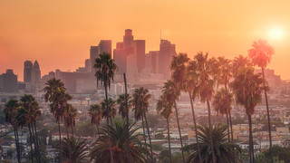 California Dreaming | Los Angeles