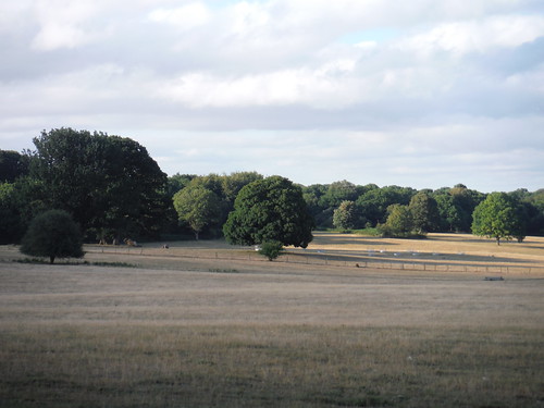 The Landscaped Tottenham Park, Savernake SWC 399 - Bedwyn Circular (via Savernake Forest and Marlborough)