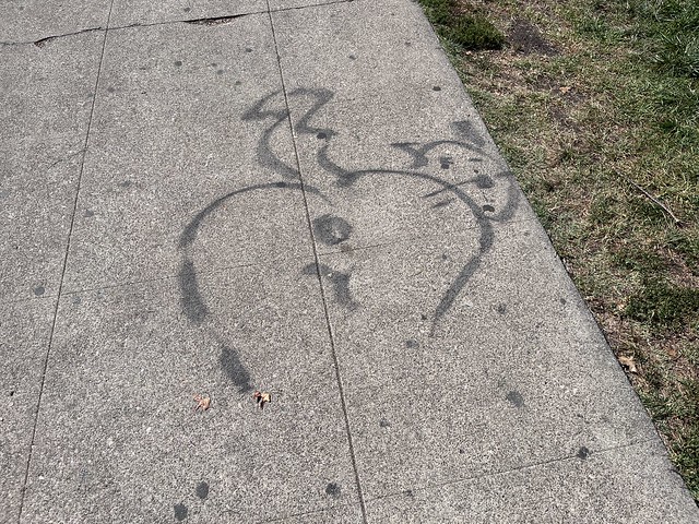 “Cat Butt” sidewalk art