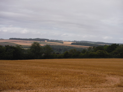 Views across Kennet Valley from lane to Brown's Farm SWC 399 - Bedwyn Circular (via Savernake Forest and Marlborough)