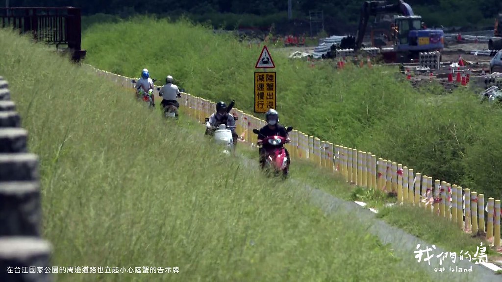 在台江國家公園的周邊道路也立起小心陸蟹的告示牌