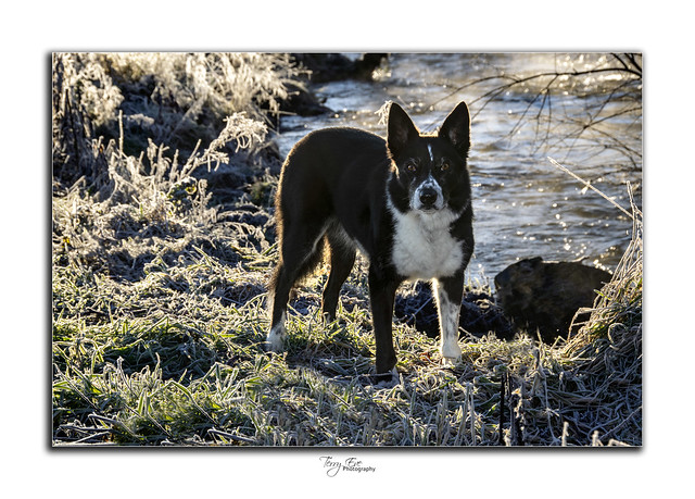 Max by the River_4668