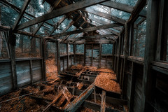 Abandoned in the Woods