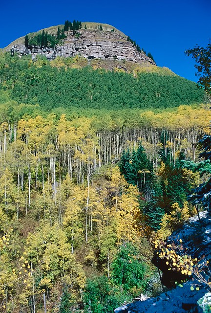 Aspen Trees and Mountains near Vail Colorado circa 1994