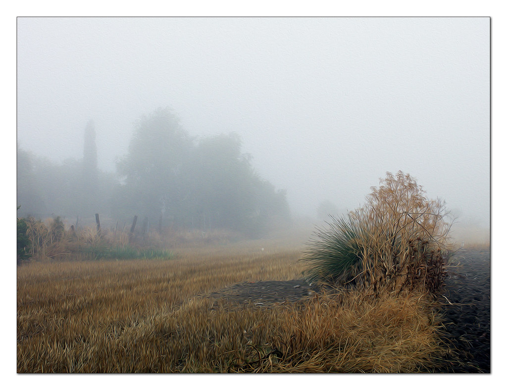 campos de Valdemoro y nieblas