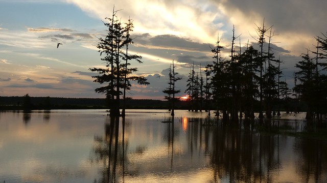 Swamp Lake Sunset