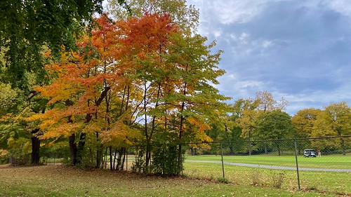 clouds sky orange red green october fall golfer fence treesleaves golfcourse golfing scenery landscape