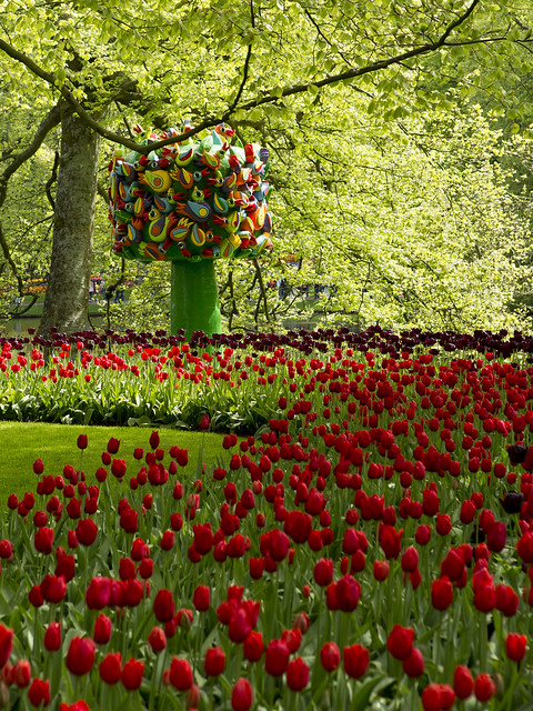 Birds tree in the Red Tulips