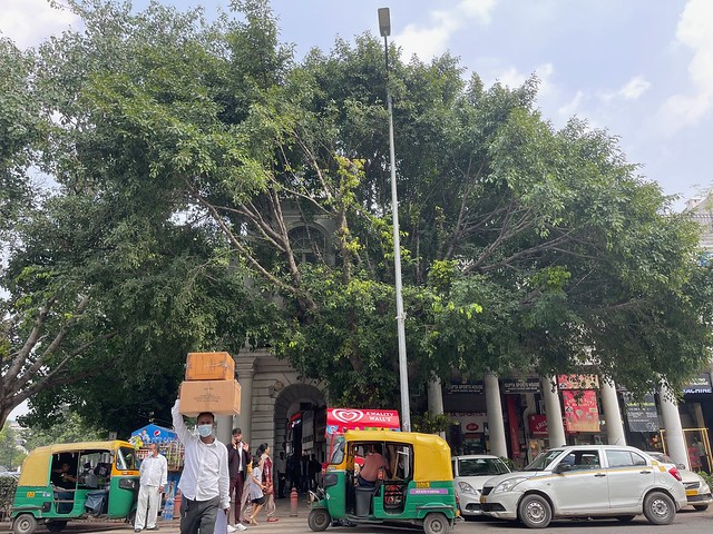 City Monument - Kesar's Pilkhan Tree as Second Wave Memorial, Connaught Place