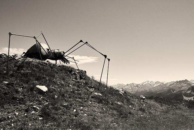 Tyrolean Spider