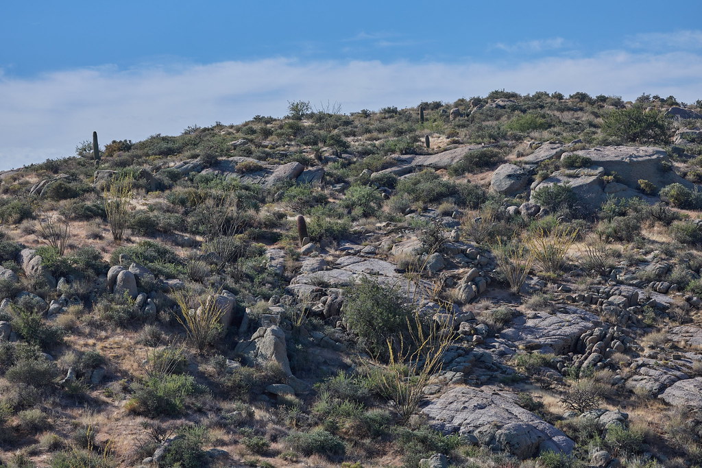Blue Wash Trail