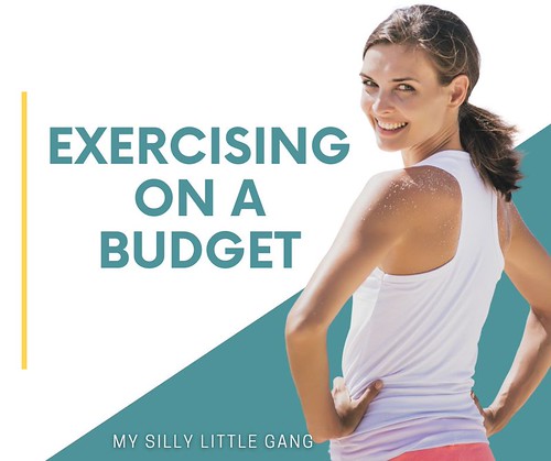 Exercising on a Budget - My Silly Little Gang