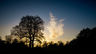 Sunset at Hylands Park