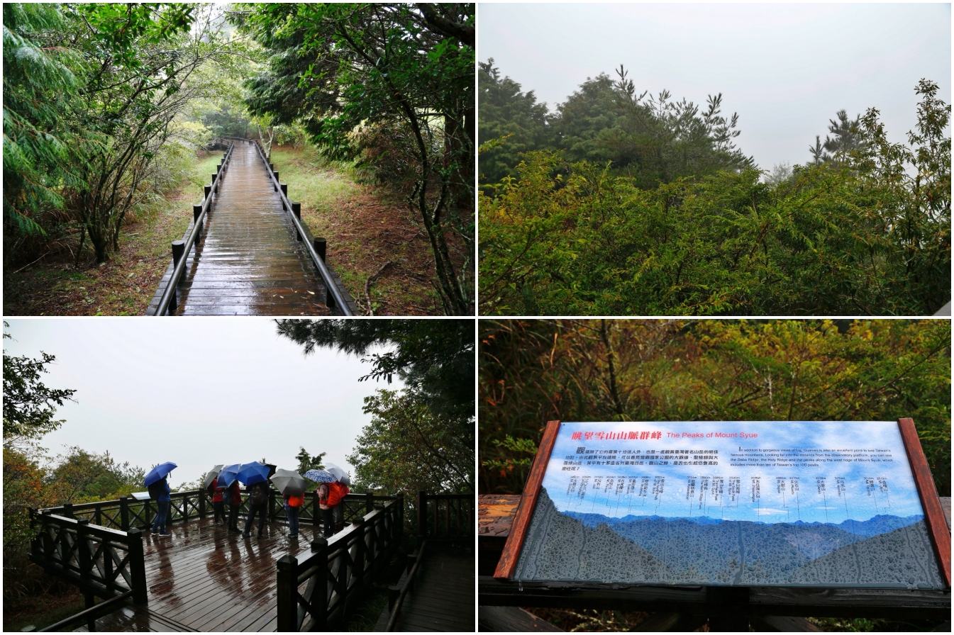 [新竹旅遊]走進台灣山林間的觀霧步道-搭上台灣好行觀霧線．出發前往聖稜線．週邊好多旅遊景點玩一圈 @VIVIYU小世界