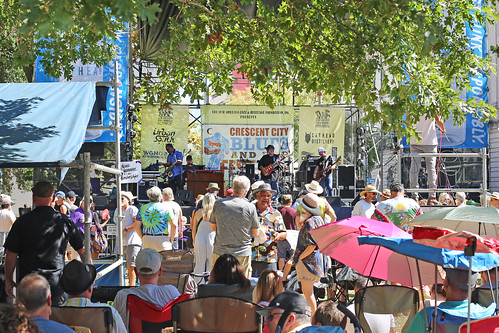 Audience at Crescent City Blues & BBQ Fest on October 15, 2022. Photo by Bill Sasser.