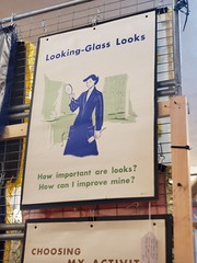 Looking-Glass Looks