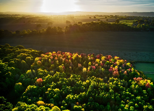 autumn sunrise dawn landscape nature wiltshire bisswood aerialphotography dji drone air2s fall trees wood forest copse