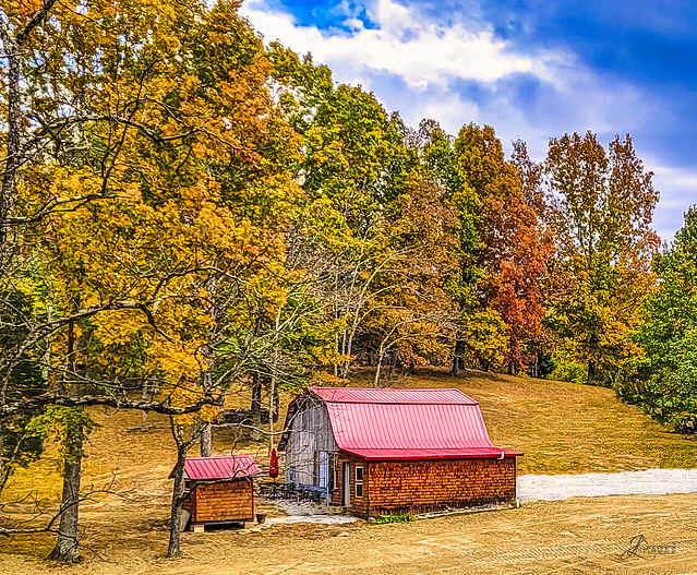 Barn View - Fall Colors