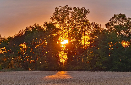 Autumn sunset by Larry the Biker, In Ray Township, Michigansunset field crop grain autumn fall harvest october raytownship michigan