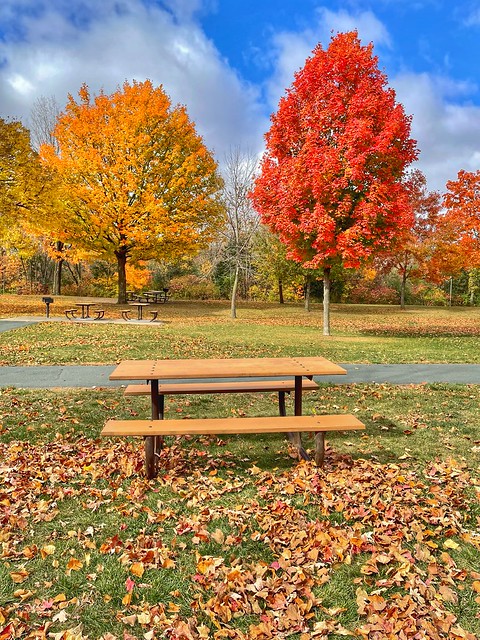Autumn Picnic. Elm Creek Park. Maple Grove Minnesota.