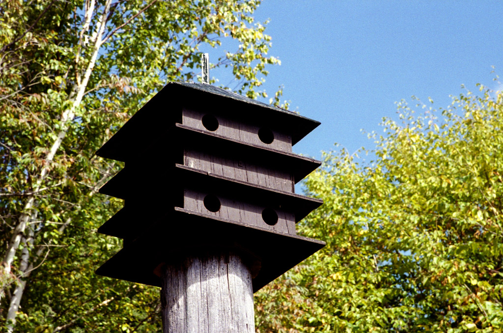 Limberlost Birdhouse Condos