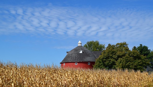 Round barn in the corn