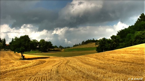 Après la moisson-4414 | by jeanmauricegaude