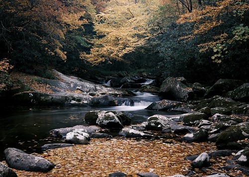 creek mountainstream daviscreekroad nature water smallwaterfalls pool leaves fall autumn fujifilmx100v classicnegative cherokeenationalforest wnc
