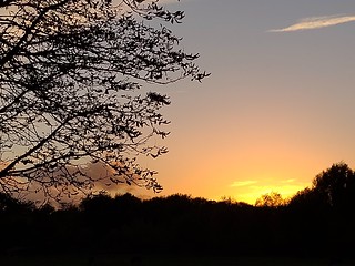 UK - Cambridgeshire - Cambridge - Sunset over Coe Fen