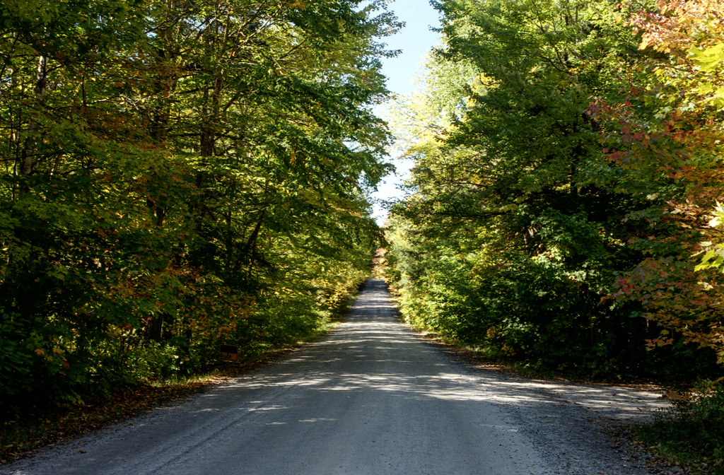South Limberlost Road in the Shade_
