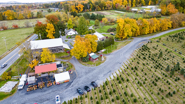 Autumn Leaves Above the Tait Farm Centre Hall Pennsylvania