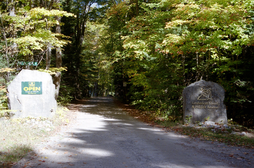 Limberlost Forest Entrance