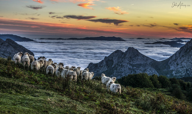 [心得] 雲林 虎尾春秋 全台唯一布袋戲主題旅館