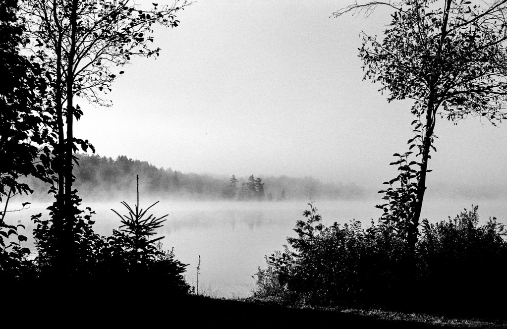 Bella Lake Mist Between the Trees