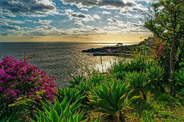 Gardens and Sea view, Funchal, Madeira.