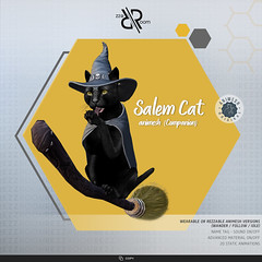 [Rezz Room] Salem Cat Animesh (Companion)