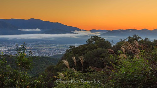 japan kameoka kyotoprefecture landscape mistyterrace observationdeck photography sunrise 霧のテラス  shi kyōto