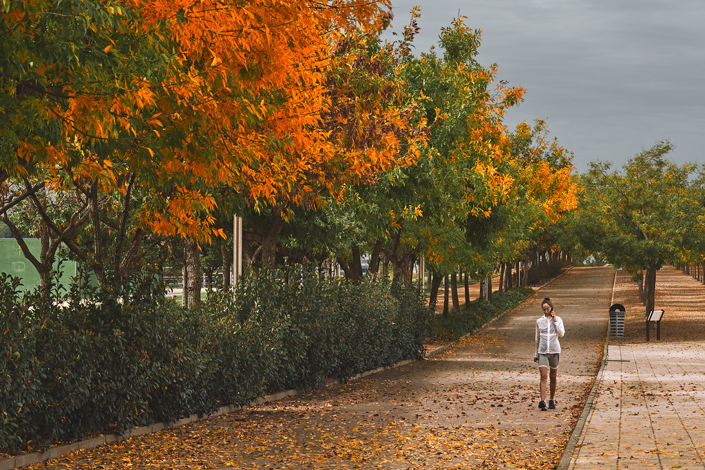 Walking in autumn (on Explore)