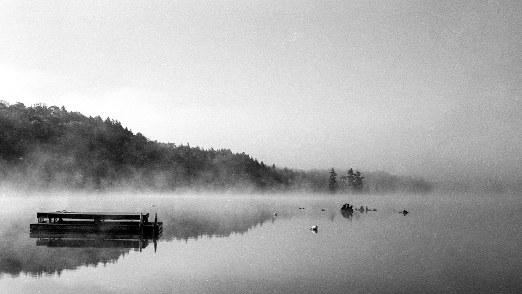 Bella Lake Mist_