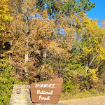 20221017-FS-SHA-SH-004_USDA Forest Service photo by Suzanne Hirsch. Scenic fall foliage of the Shawnee Hills - Shawnee National Forest.