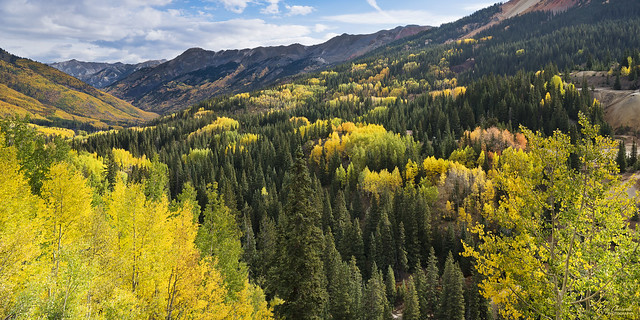 Fall Scenery Near Red Mountain, Colorado