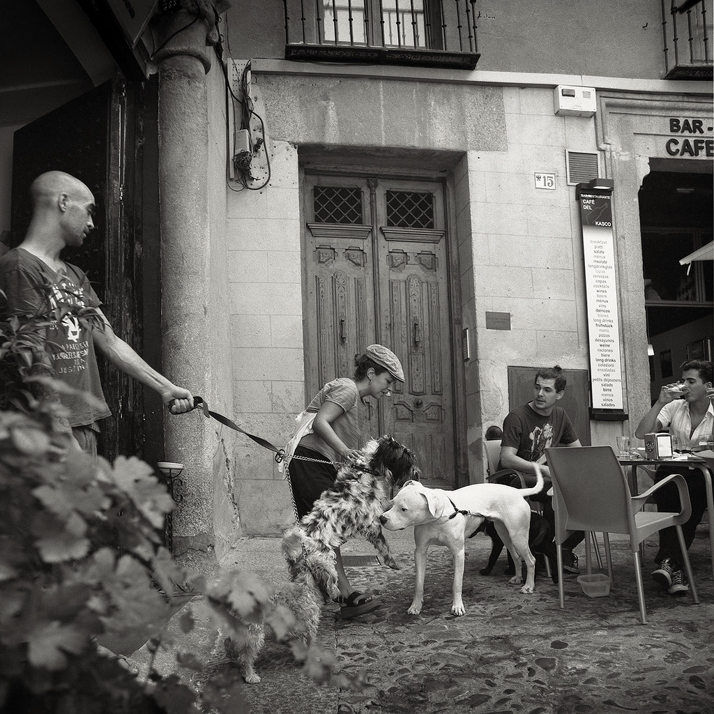 Perros con sus dueños en la calle de la Ciudad frente al pasadizo de Balaguer. Fotografía de Roberto Gómez