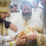12 мая 2014, Литургия в день памяти свт. Василия Острожского | 12 May 2014, Divine Liturgy on day of St. Basil of Ostrog